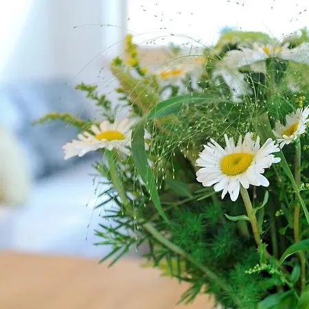 Ur-natur Apartament *